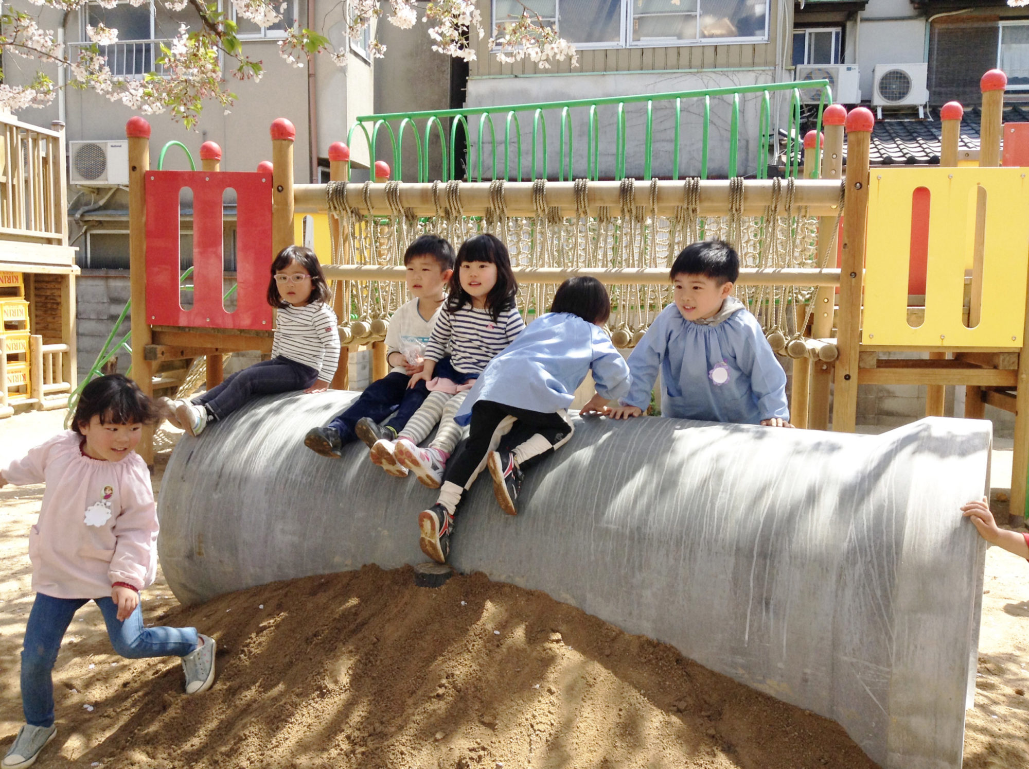 幼稚園 学校法人聖晋学園 みくにひじり幼稚園 みくにひじり保育園